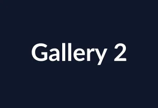 Placeholder slot 2 for gallery imagery